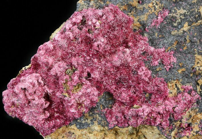 Fibrous Roselite Crystals on Matrix - Morocco #44762